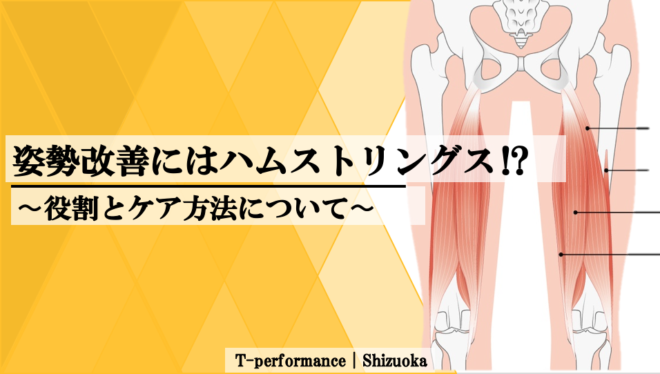 姿勢改善にはまずハムストリングス⁉︎｜役割とケアの重要性について