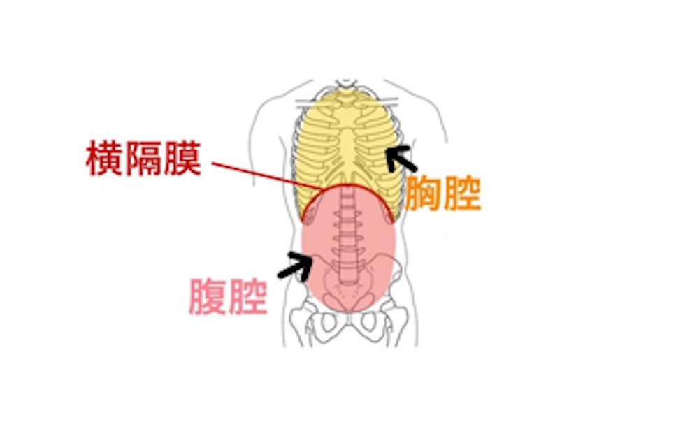 腹腔内圧