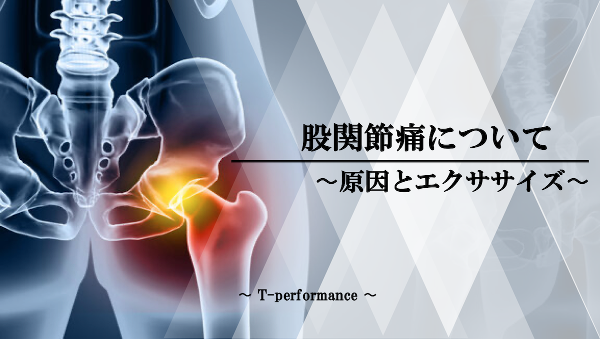 股関節痛に関して｜原因とセルフエクササイズについて|T-performance Blog